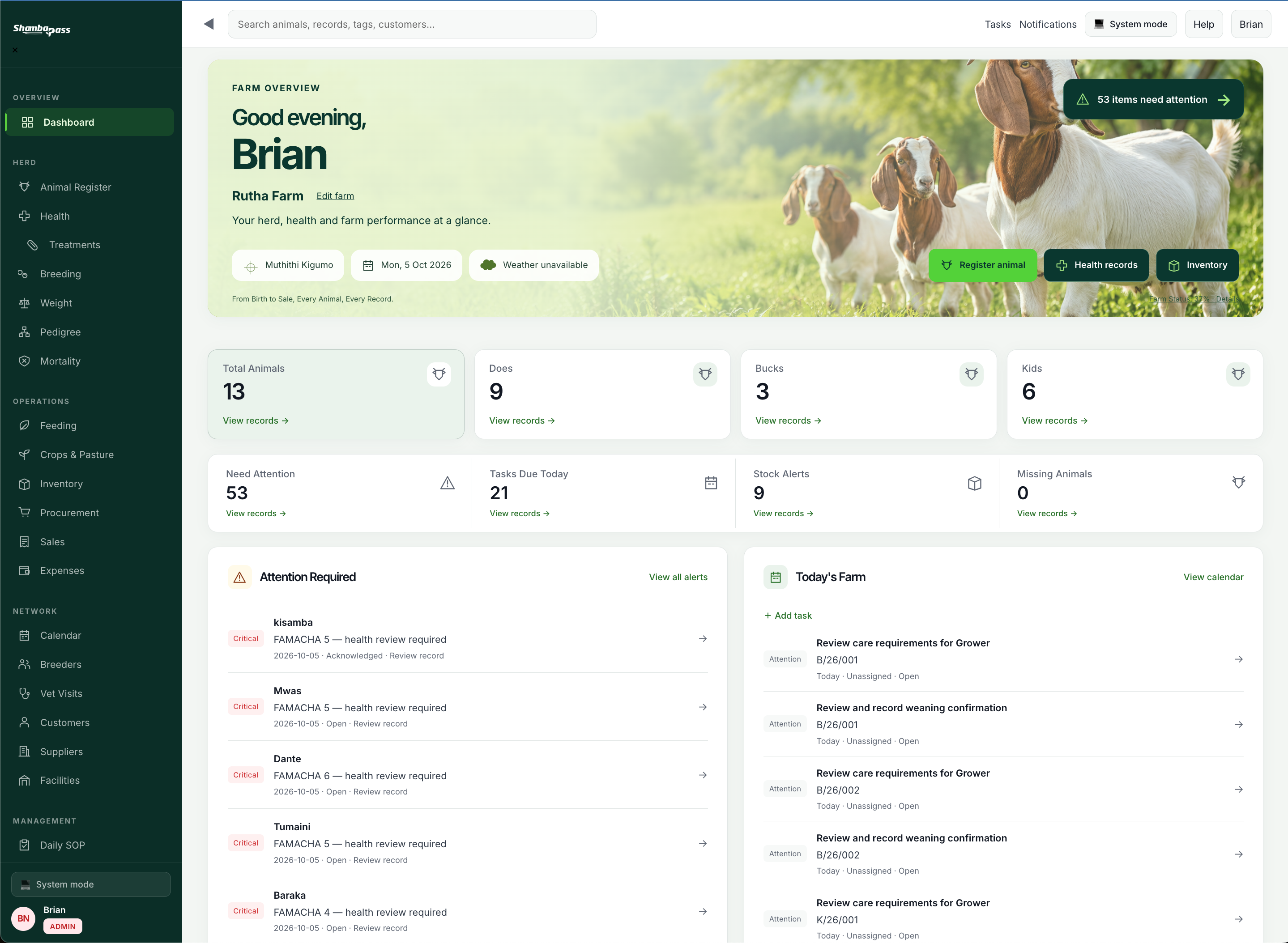 Current ShambaPass dashboard showing the farm overview, herd totals, attention alerts and today’s tasks